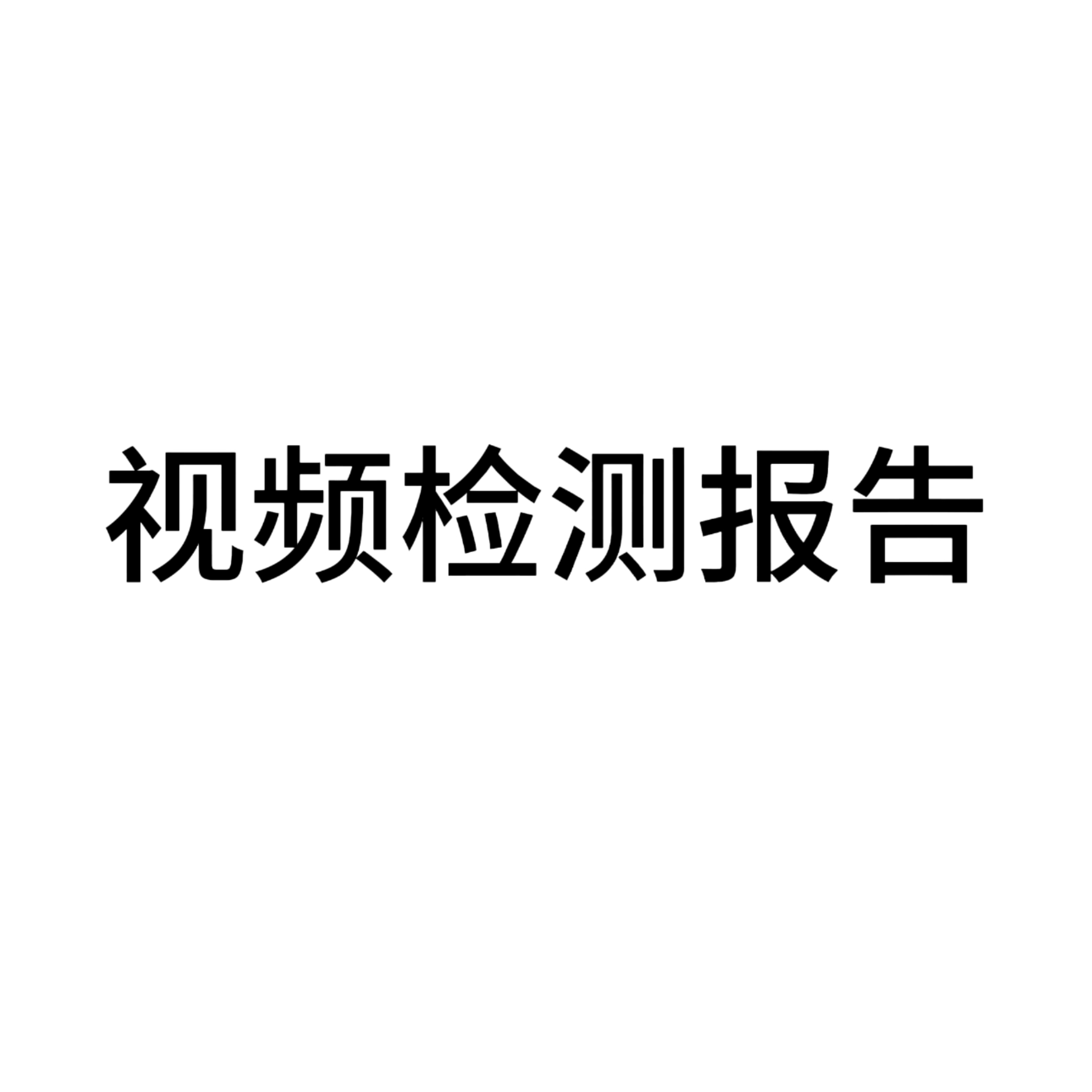 视频检测报告